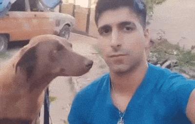 Dog flirts with guy