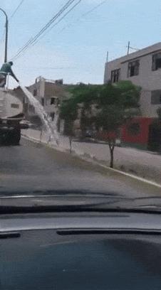 Dog and water tank