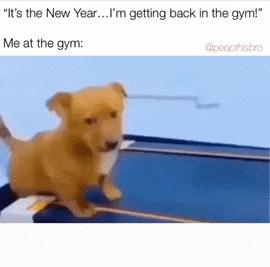 Dog on treadmill