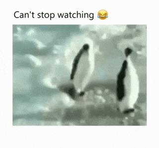 Penguin parody