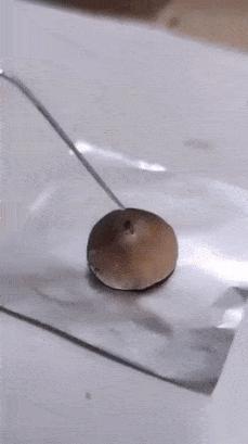 Production of mushroom mycelium